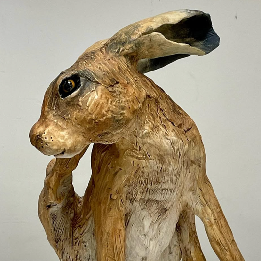 Scratchy the Hare